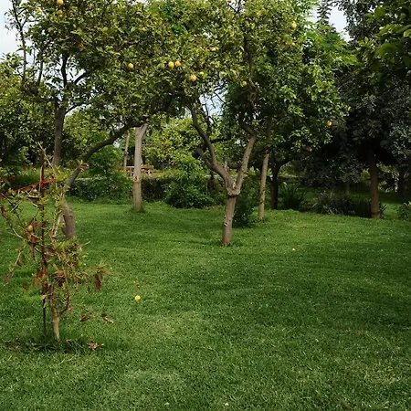 Gospodarstwo wiejskie Tenuta Santa Tecla *