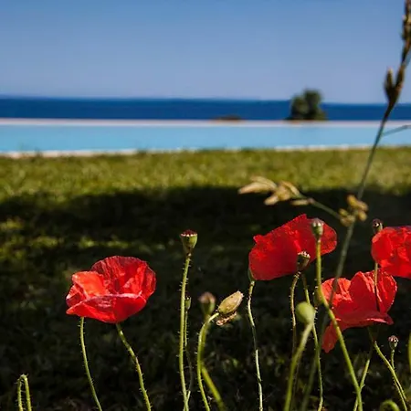 Tenuta Santa Tecla Gospodarstwo wiejskie Acireale