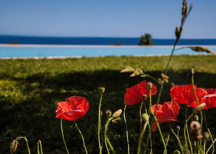 Tenuta Santa Tecla Landsted Acireale